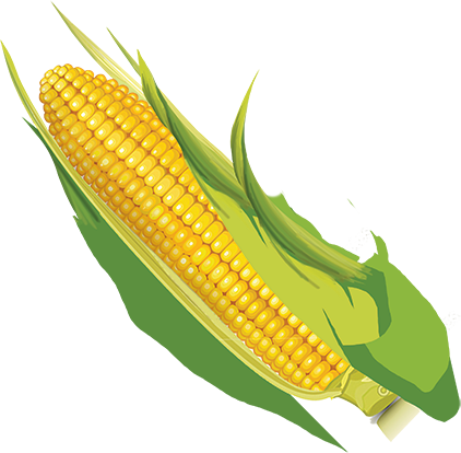 feedCorn